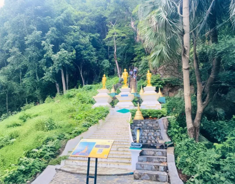 Place Image