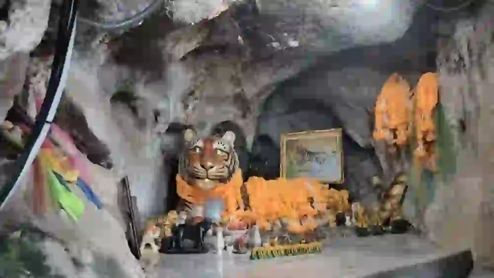 Place Image